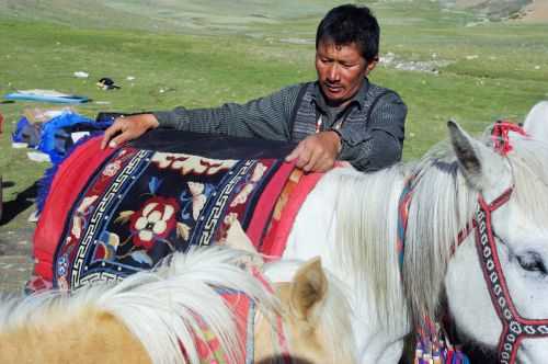 TREKKING IN LADAKH | CHANGTANG 2017